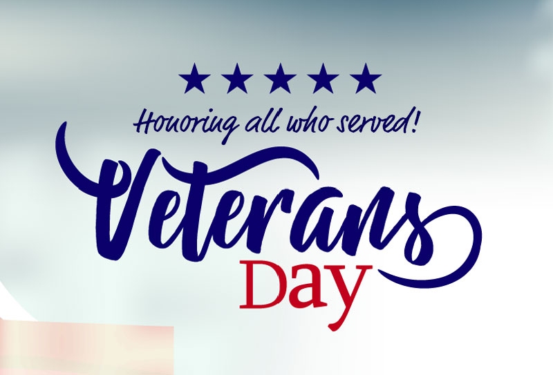 Honoring Our Heroes: A Veterans Day Tribute